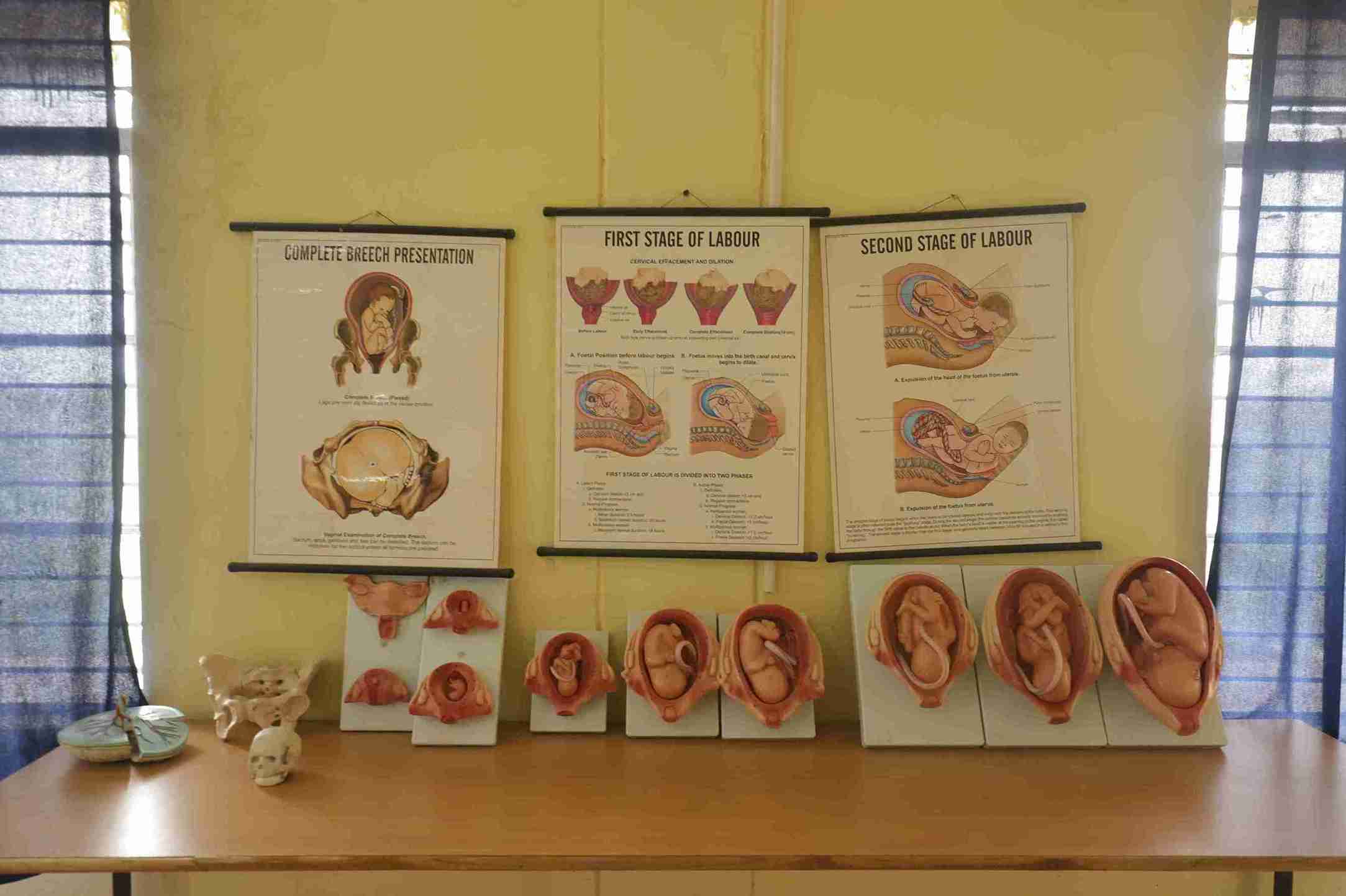 gallery